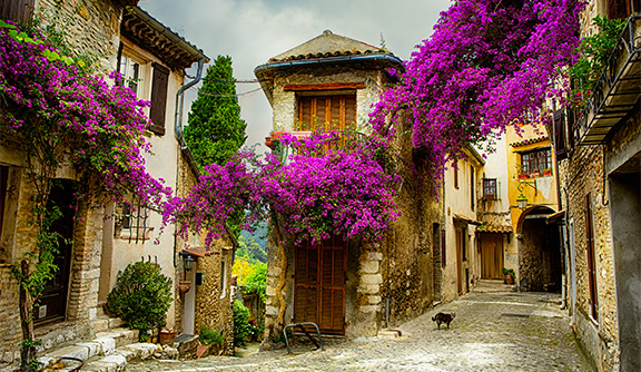 Provence